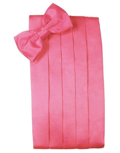 Bubblegum Tapestry Kids Cummerbund Bubblegum Tapestry Kids Cummerbund