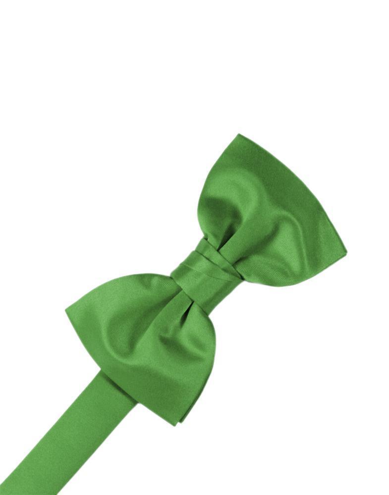 Cardi Kelly Luxury Satin Kids Bow Tie