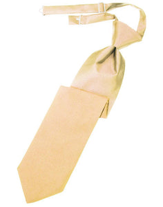 Cardi Pre-Tied Peach Luxury Satin Necktie