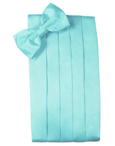 Cardi Pool Luxury Satin Cummerbund