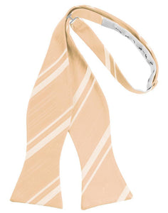 Cardi Self Tie Apricot Striped Satin Bow Tie