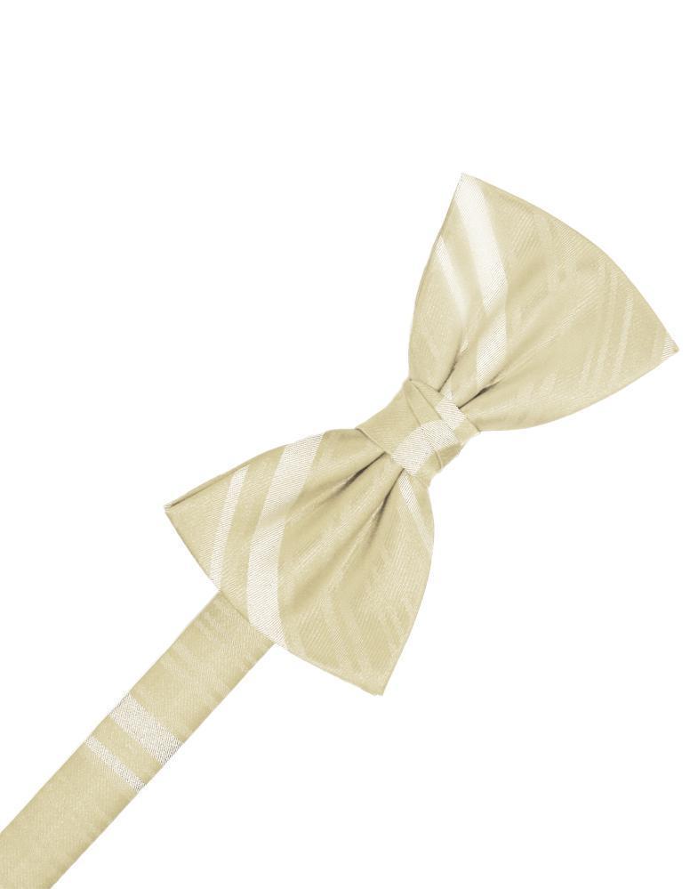 Cardi Bamboo Striped Satin Kids Bow Tie