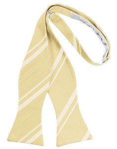 Cardi Self Tie Banana Striped Satin Bow Tie
