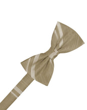 Cardi Pre-Tied Latte Striped Satin Bow Tie