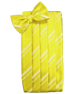Cardi Lemon Kids Striped Satin Cummerbund