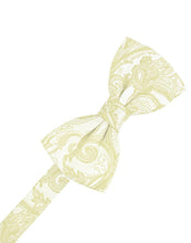 Cardi Pre-Tied Canary Tapestry Bow Tie