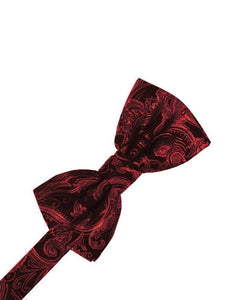 Cardi Scarlet Tapestry Kids Bow Tie