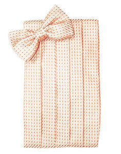 Cardi Coral Venetian Cummerbund