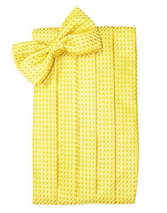 Cardi Lemon Venetian Kids Cummerbund