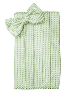 Cardi Mint Venetian Kids Cummerbund