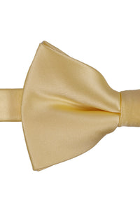 BLACKTIE Canary Eternity Bow Tie
