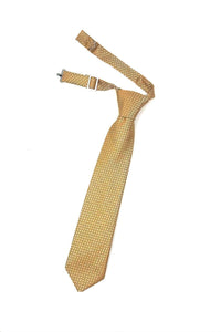 Cardi Gold Regal Kids Necktie