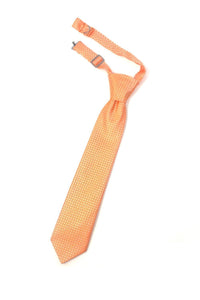 Cardi Orange Regal Kids Necktie