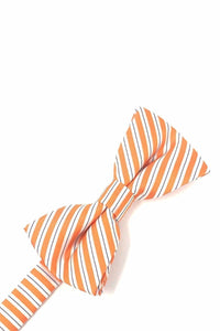 Cardi Orange Newton Stripe Kids Bow Tie