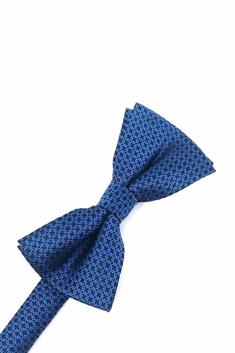 Cardi Blue Regal Kids Bow Tie