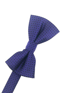 Cardi Purple Regal Kids Bow Tie