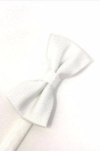 Cardi White Regal Kids Bow Tie